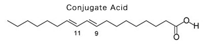 Conjugate Acid