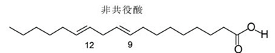合成リノール酸　構造